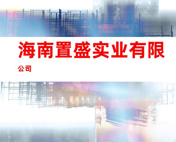 海南置盛实业有限公司